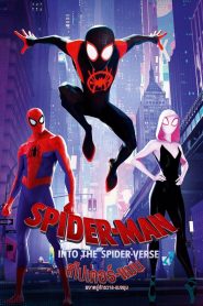 สไปเดอร์-แมน: ผงาดสู่จักรวาล-แมงมุม (2018) Spider Man Into The Spider Verse