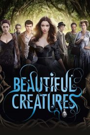แม่มดแคสเตอร์ (2013) Beautiful Creatures