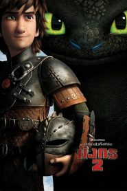 How to Train Your Dragon 2 (2014) (2014) How to Train Your Dragon 2 (2014)